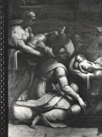 Carletti, Angelo — Luciani Sebastiano; Rossi de' Francesco - sec. XVI - Lavanda di Maria Vergine — particolare